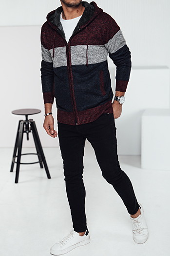 Isolierter Kapuzenpulli für Männer kastanienbraun Dstreet WX2275