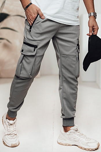 Herren Cargohose grau Dstreet UX4472