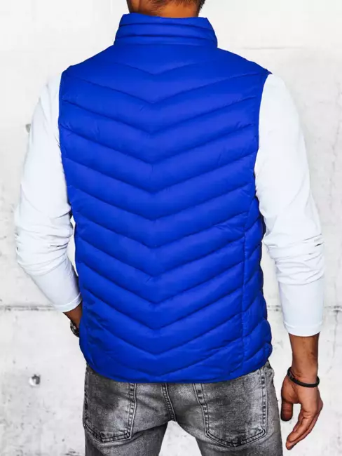 Herren Steppjacke Blau Dstreet TX4429