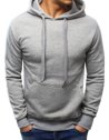 Herren Kapuzenpullover Hellgrau BX3646_1