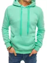 Herren Kapuzenpullover minze Dstreet BX4946_1