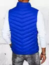 Herren Steppjacke Blau Dstreet TX4429_4