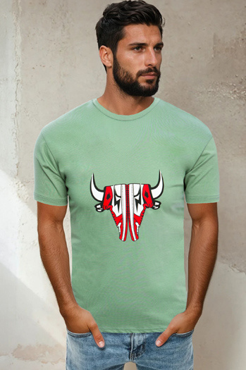 Herren T-shirt Hellgrün Dstreet RX4930