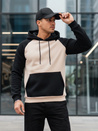 Herren-Kapuzenpullover beige Dstreet BX5890