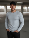 Herren grau Dstreet Longsleeve LX0578