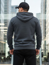 Herren Basic Hoodie dunkelgrau Dstreet BX5863