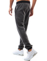 Herren Trainingshose Anthrazit Dstreet UX2215
