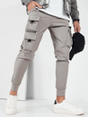 Herren Cargohosen Farbe Grau DSTREET UX4156