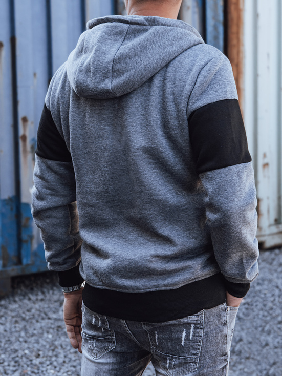 Herren Sweatshirt mit Kapuze in Dunkelgrau Dstreet BX5819