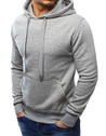 Herren Kapuzenpullover Hellgrau BX3646