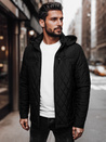 Herren Steppjacke mit Kapuze schwarz Dstreet TX4989_1