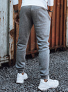 Herrenhose hellgrau Dstreet UX4430