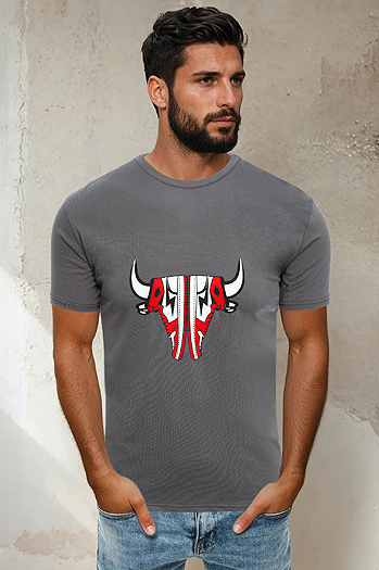 Herren T-shirt Graphite Dstreet RX4931