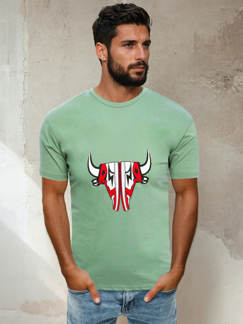 Herren T-shirt Hellgrün Dstreet RX4930