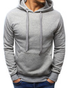 Herren Kapuzenpullover Hellgrau BX3646