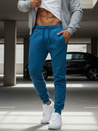 Herren Sporthose Blau Dstreet UX3632