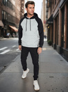 Herren Basic-Kapuzenpullover grau Dstreet BX5892