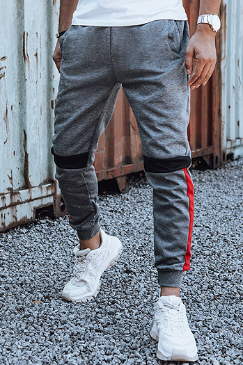 Herren Sweathose mit Kordelzug anthrazit UX4449