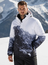 Herren Winter Skijacke navy blau Dstreet TX5125