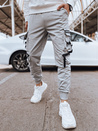 Herren Cargohosen Farbe Grau DSTREET UX4219