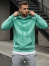 Herren Kapuzenpullover minze Dstreet BX4946
