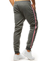 Herren Trainingshose Anthrazit Dstreet UX3623