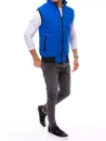 Herren Steppweste Blau Dstreet TX4017