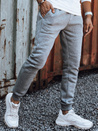 Herrenhose hellgrau Dstreet UX4430