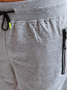 Herren Sport Shorts Farbe Hellgrau DSTREET SX2266