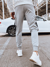 Herren Cargohosen Farbe Grau DSTREET UX4215