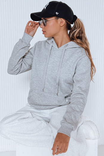 Damen Kapuzenpullover BASIC Grau BY0155