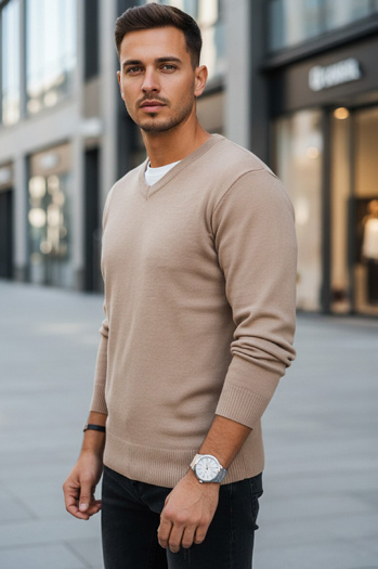 Herren Pullover Kamelwange Dstreet WX2318