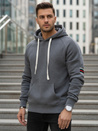 Grauer Herren-Kapuzenpullover Dstreet BX5942