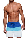 Blaue und weiße Badeshorts für Männer Dstreet SX2517