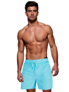 Herren-Badeshorts hellblau Dstreet SX2456
