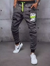 Herren Sporthose Anthrazit Dstreet UX3447