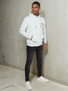 Herren Sweatshirt mit Aufdruck Farbe Hellgrau DSTREET BX5690