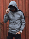 Herren Kapuzenpulli dunkelgrau Dstreet BX5807