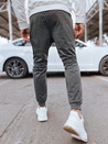 Herren Jogginghose Farbe Hellgrau DSTREET UX4281
