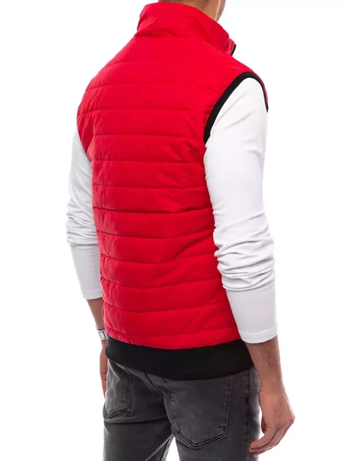 Herren Steppweste Rot Dstreet TX4015