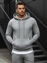 Herren Kapuzenpullover Hellgrau BX3646
