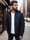 Herren Übergangsjacke mit Kapuze navy blau Dstreet TX4990_1