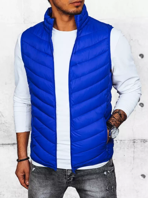 Herren Steppjacke Blau Dstreet TX4429