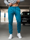 Herren Sporthose Türkis Dstreet UX3428