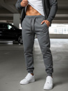 Herren Sporthose Anthrazit Dstreet UX2396