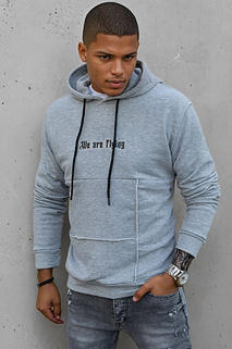 Herren Sweatshirt grau Dstreet BX5475