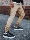 Herren Joggerhose Beige Dstreet UX3301_1