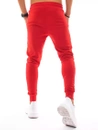 Herren Trainingshose Rot Dstreet UX3339_4
