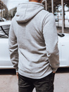 Herren Kapuzenpullover hellgrau Dstreet BX5830