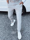 Herrenhose hellgrau Dstreet UX4382